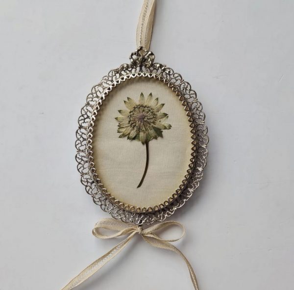 ANTIQUE ASTRANTIA STRAIGHT (S)