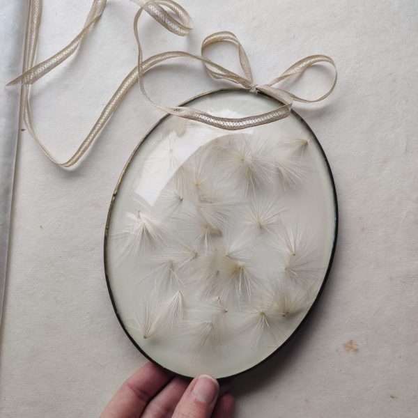 CONVEX CARDOON (M) - Afbeelding 2