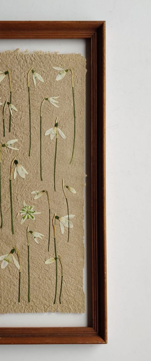 DUTCH TILE FRAME XXL SNOWDROPS - Afbeelding 2