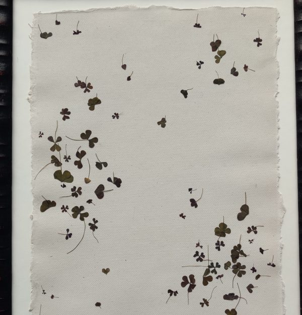 FLOWER FLOCK (XL) - Afbeelding 4