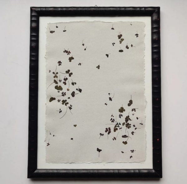 FLOWER FLOCK (XL)