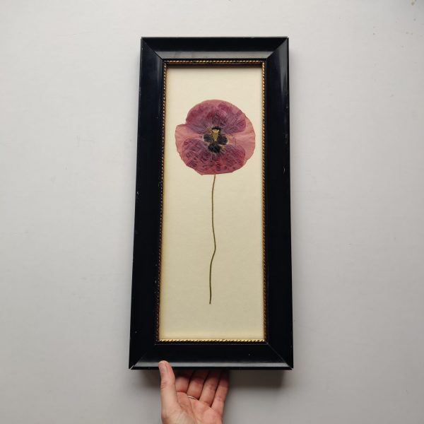 LARGE ELEGANT POPPY
