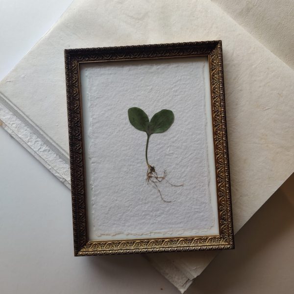 MAGIC UNFOLDS WHEN LOVE BLOOMS (L) - Afbeelding 3