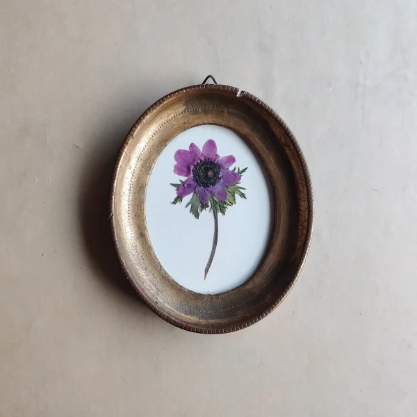 PINK ANEMONE (XS)