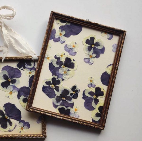 ANTIQUE BLUE VIOLETS