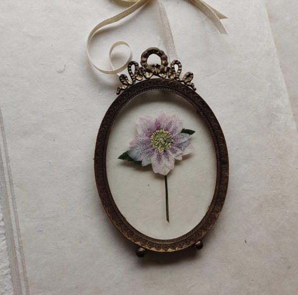 ANTIQUE BOW HELLEBORE (S) - Afbeelding 3