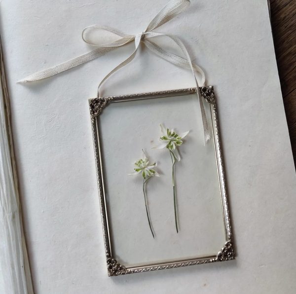 BROCANTE SNOWDROPS (M)