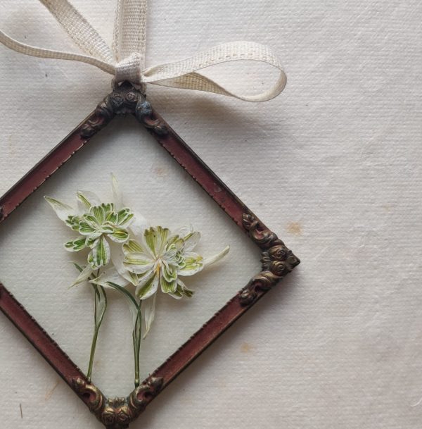 ANTIQUE SNOWDROP SQUARE (XS) - Afbeelding 2