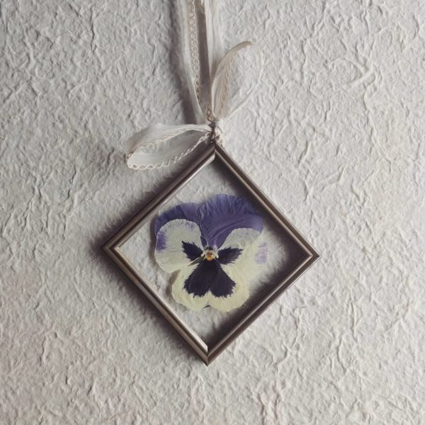 VIOLET SQUARE (S)