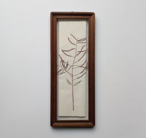 DUTCH TILE TAMARIX (L)