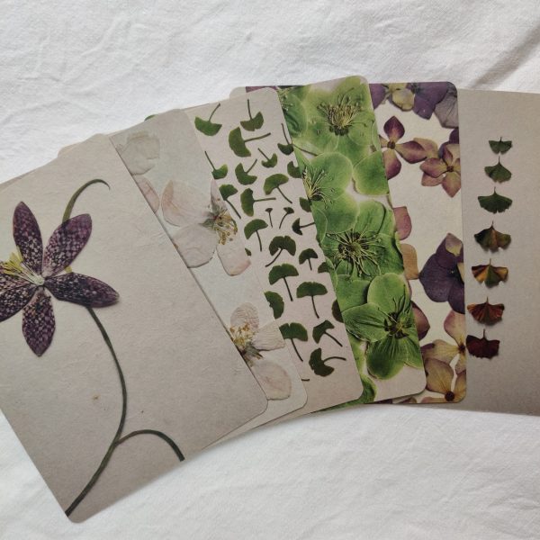 BOTANICAL CARDS (SET OF 6) - Afbeelding 4