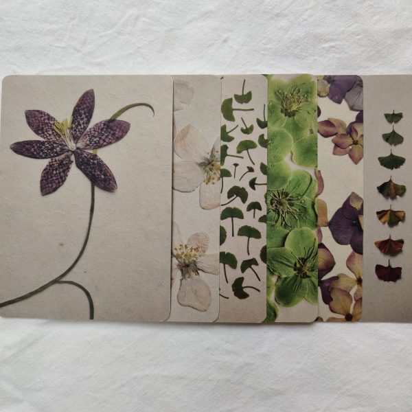 BOTANICAL CARDS (SET OF 6) - Afbeelding 2