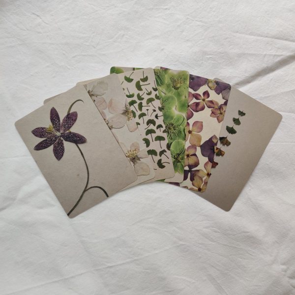 BOTANICAL CARDS (SET OF 6)