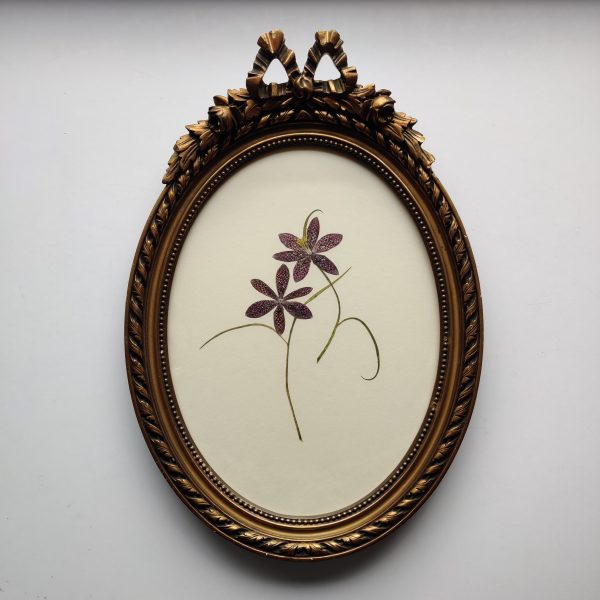 ANTIQUE BOW FRITILLARY