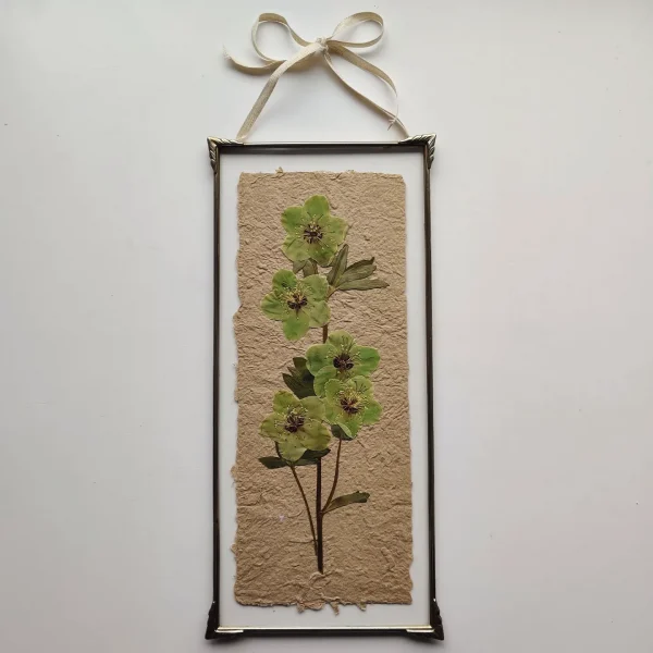 HANDMADE PAPER HELLEBORE (XL)