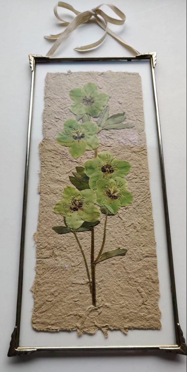 HANDMADE PAPER HELLEBORE (XL) - Afbeelding 4
