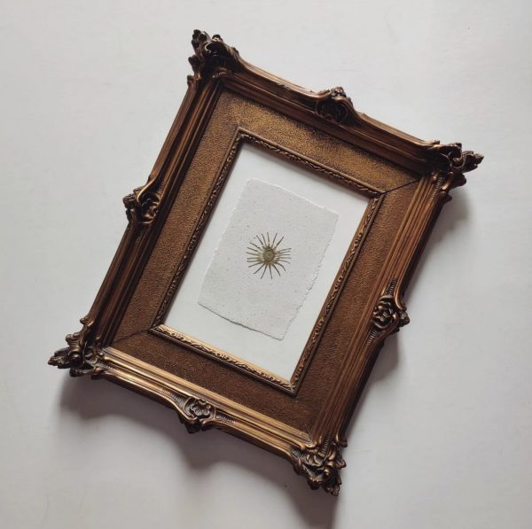 DANDELION STAR (L)