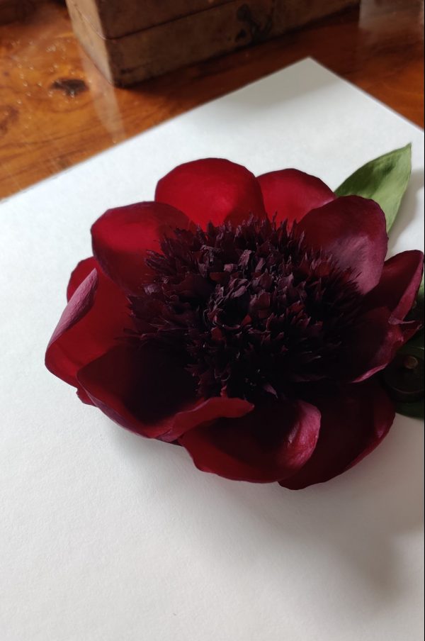 DREAMY PEONY  (L) - Afbeelding 2