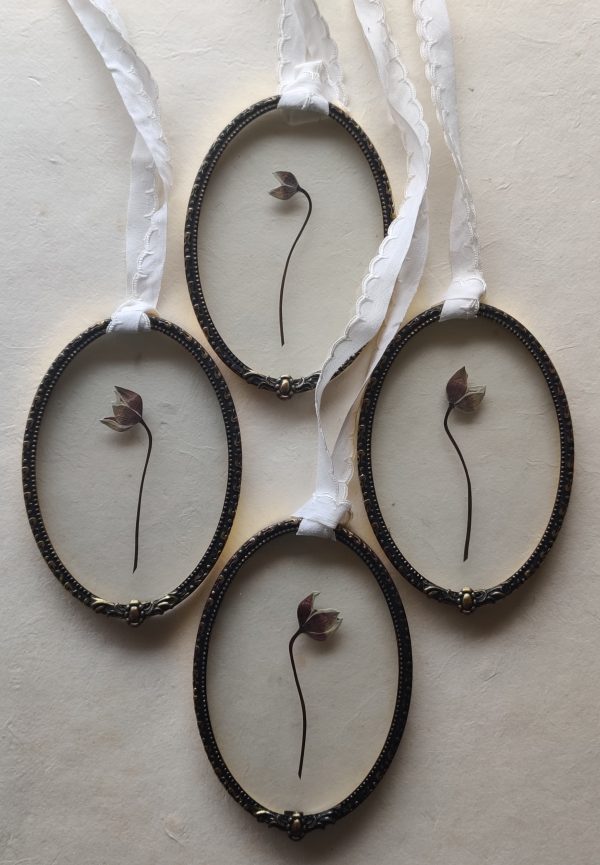OVAL ANEMONES (S) - Afbeelding 2