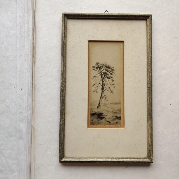 ETS FRAME