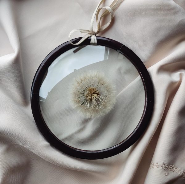 PAPPUS