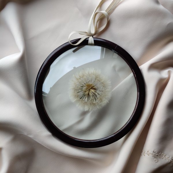 PAPPUS - Afbeelding 2