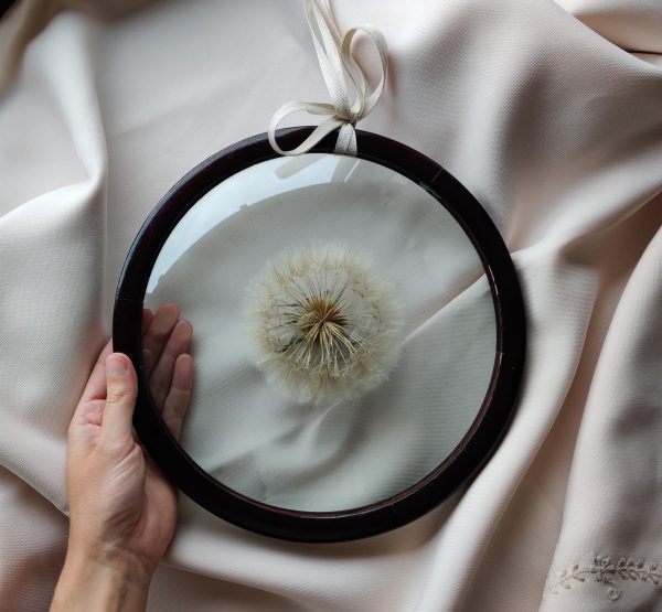 PAPPUS - Afbeelding 3