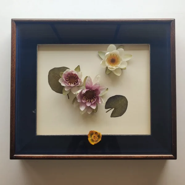 WATER LILY 3D BOX - Afbeelding 4