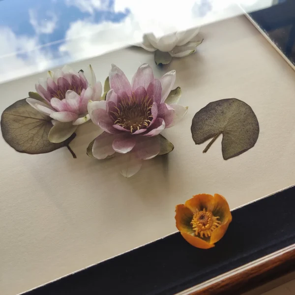 WATER LILY 3D BOX - Afbeelding 3