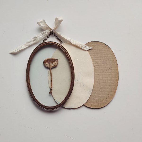 ANTIQUE OVAL MUSHROOM (S)