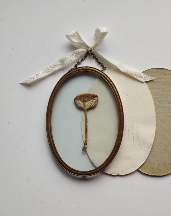 ANTIQUE OVAL MUSHROOM (S) - Afbeelding 2