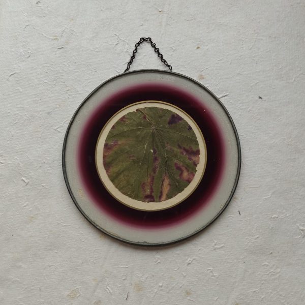 ANTIQUE ROUND GRAPE (S)