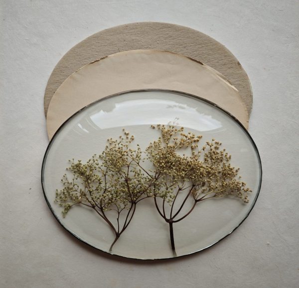 ELDERFLOWER FOREST (M) - Afbeelding 2