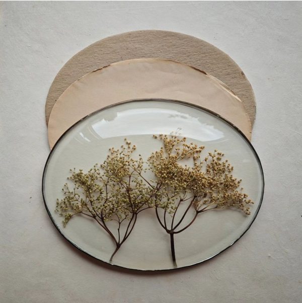 ELDERFLOWER FOREST (M)