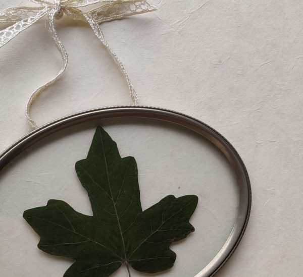 MAPLE LEAVE (S) - Afbeelding 2