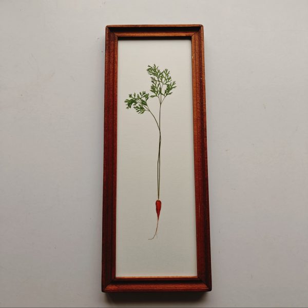 DUTCH TILE CARROT (L) - Afbeelding 2