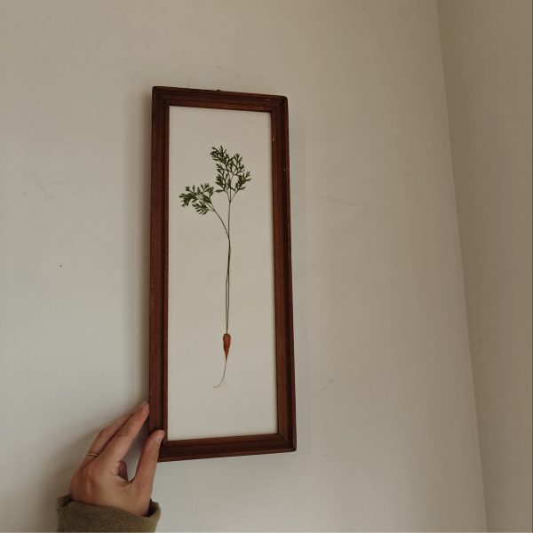 DUTCH TILE CARROT (L) - Afbeelding 3