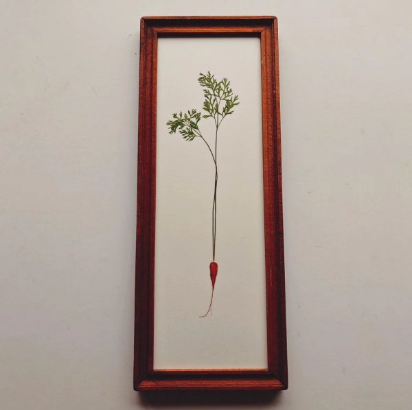 DUTCH TILE CARROT (L)