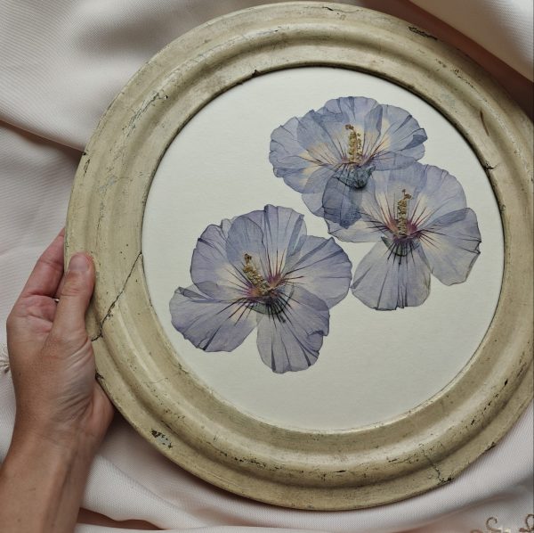 ANTIQUE HIBISCUS (XL) - Afbeelding 2