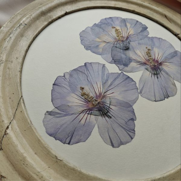 ANTIQUE HIBISCUS (XL) - Afbeelding 4