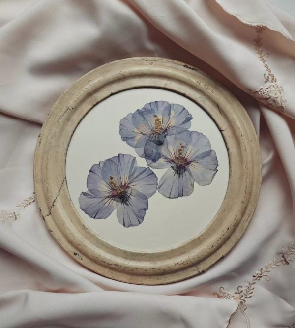 ANTIQUE HIBISCUS (XL)