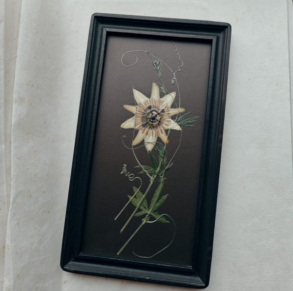 ELEGANT PASSIFLORA (M) - Afbeelding 2