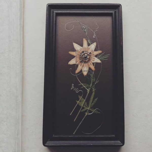 ELEGANT PASSIFLORA (M)