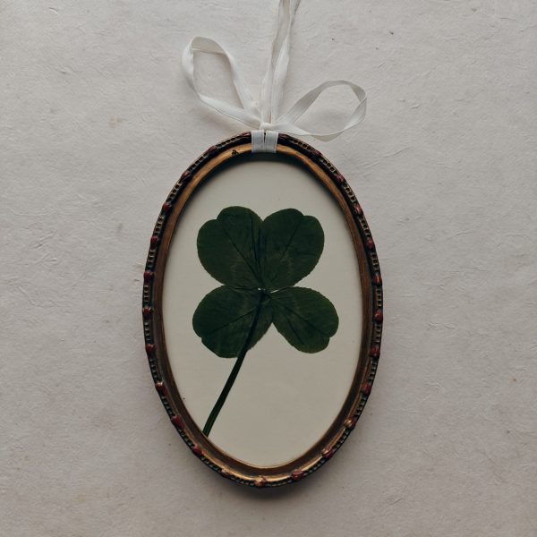 LUCKY CLOVER (S) - Afbeelding 3