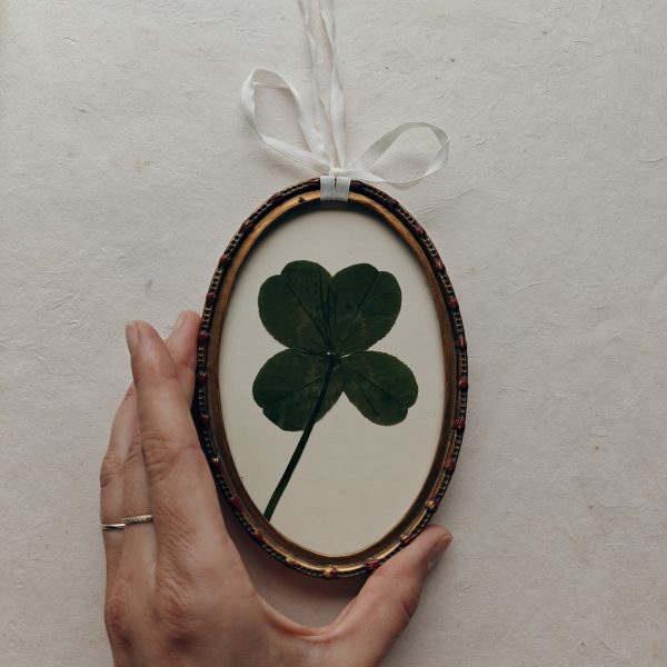 LUCKY CLOVER (S) - Afbeelding 2