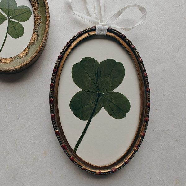 LUCKY CLOVER (S)