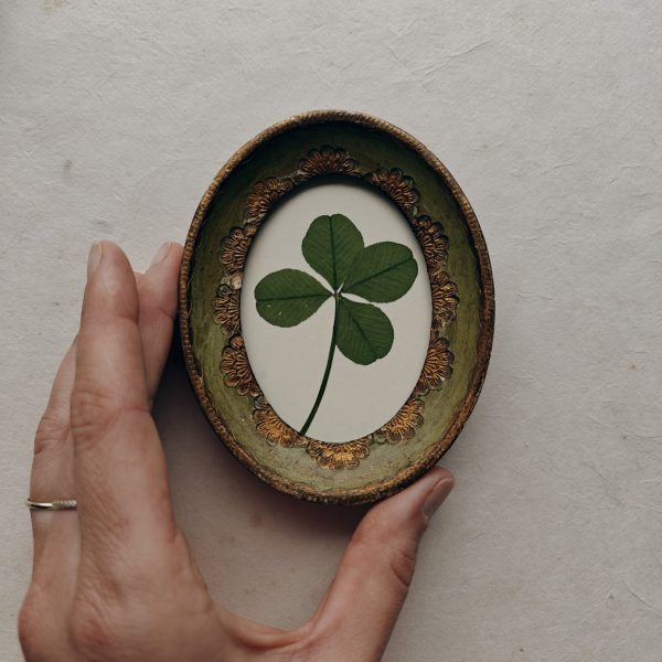 LUCKY CLOVER (XS) - Afbeelding 2