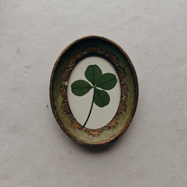 LUCKY CLOVER (XS) - Afbeelding 3