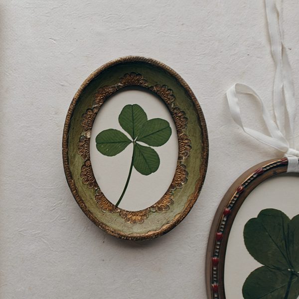 LUCKY CLOVER (XS)
