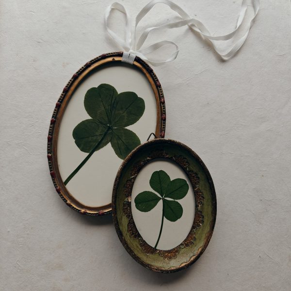 LUCKY CLOVER (XS) - Afbeelding 4